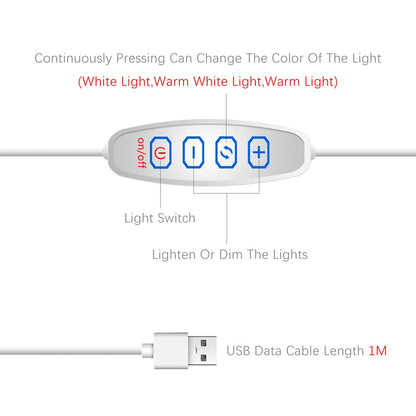Zenitsu Agatsuma LED Light Frame